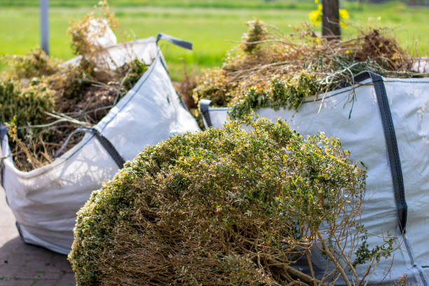 Best Junk Removal Near Me  in Newport, MN
